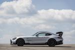 Mercedes-AMG GT Black Series 2020 года (WW)